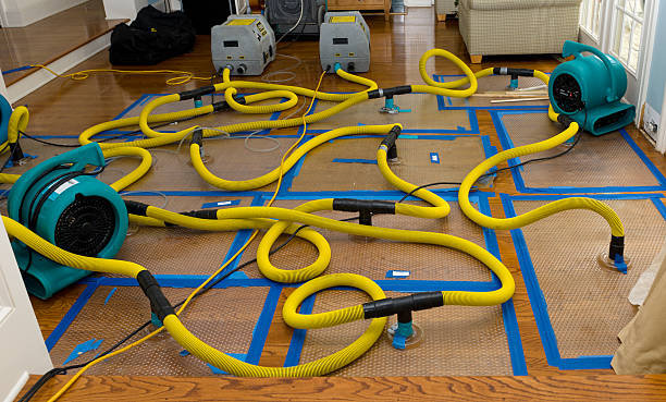 Professional Sewage Cleanup technician working in South Park, WY