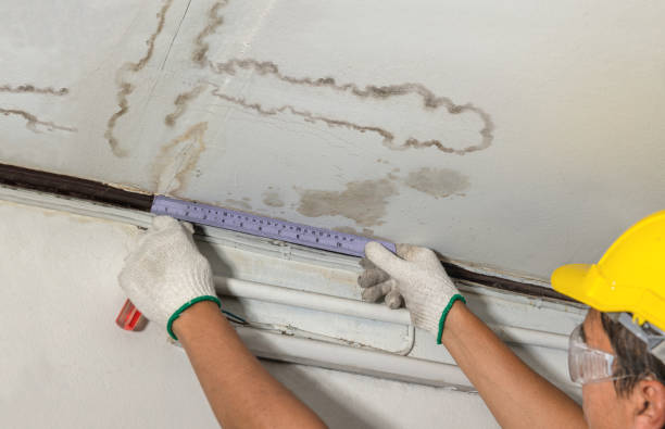 Affordable Water Damage Repair solutions in South Park, WY